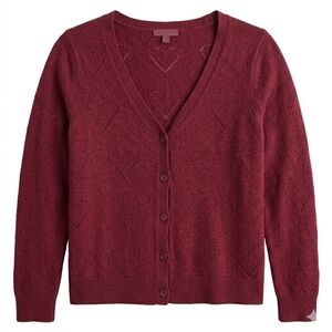 SPLENDID Burgundy Cropped Cardigan Sweater - Tagged XL Fit M/L
